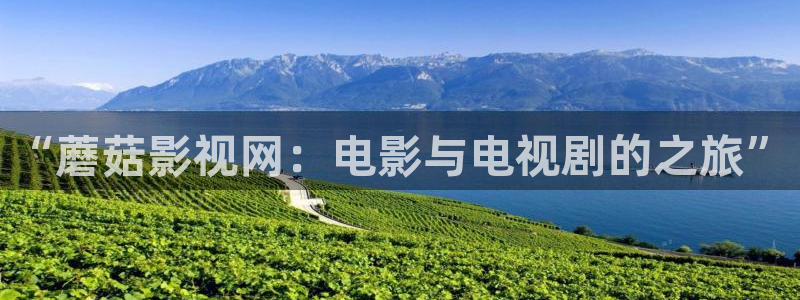 汤姆影院入口在线观看：“蘑菇影视网：电影与电视剧的之旅”