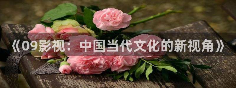 汤姆影院中转站：《09影视：中国当代文化的新视角》