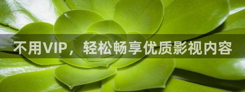 汤姆高清影院tom：不用VIP，轻松畅享优质影视内容