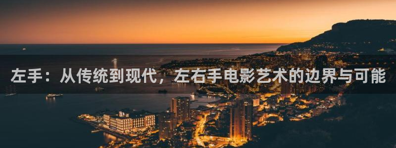 汤姆私人影院在线播放：左手：从传统到现代，左右手电影艺术的边界与可能