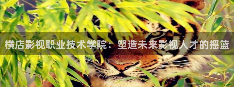 汤姆影院入口tom：横店影视职业技术学院：塑造未来影视人才的摇篮