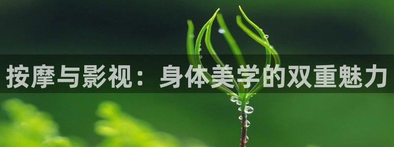 汤姆影院h：按摩与影视：身体美学的双重魅力