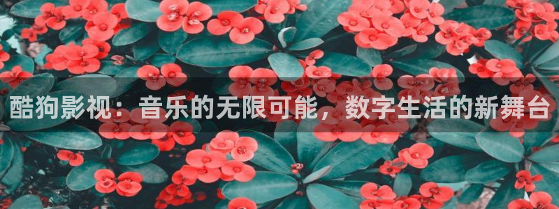 汤姆网站影院：酷狗影视：音乐的无限可能，数字生活的新舞台