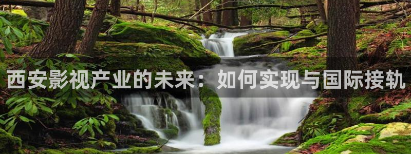 汤姆高清影院网站入口：西安影视产业的未来：如何实现与国际接轨