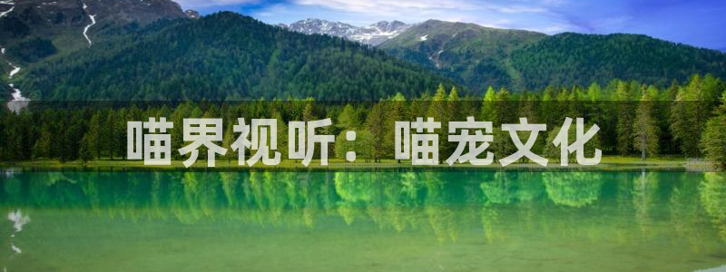 汤姆黄色影院：喵界视听：喵宠文化