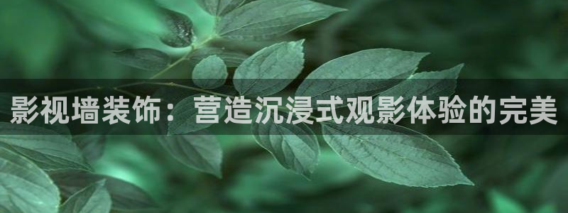 汤姆电影院地址在哪：影视墙装饰：营造沉浸式观影体验的完美