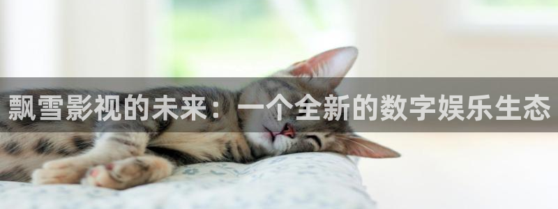 汤姆猫在线影院：飘雪影视的未来：一个全新的数字娱乐生态