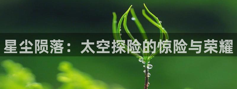 汤姆影院网址入口：星尘陨落：太空探险的惊险与荣耀