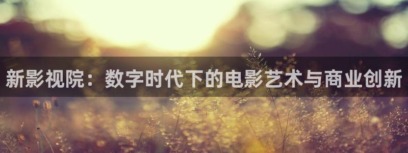 汤姆影院a：新影视院：数字时代下的电影艺术与商业创新